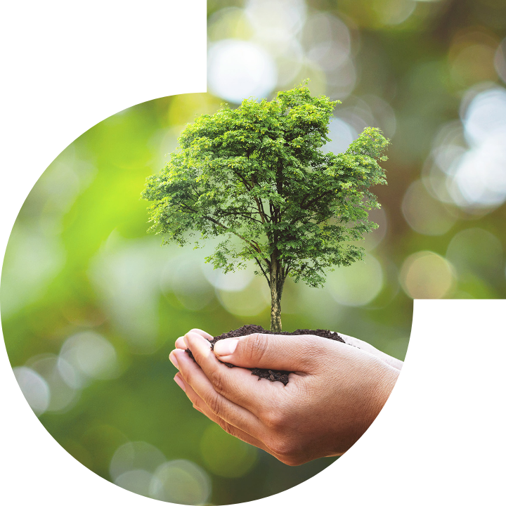 关怀人类、文化、环境与社会